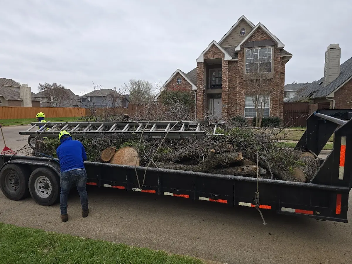 Expert Lot Clearing with proper safety equipment in Mount Carmel